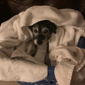 Welcome - PLEASE READ!